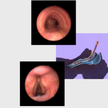 1473947096-Schermata-2016-09-15-alle-15.42.15.png